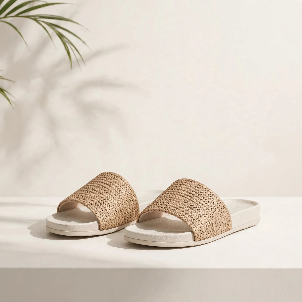 Women Sneakers
